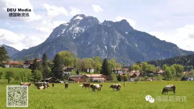 德国爱他美奶粉为什么便宜,德国爱他美奶粉几月缺货