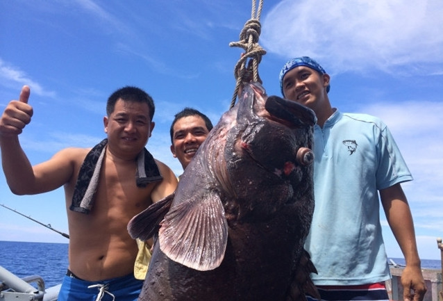 国外海钓巨物视频大全,去海钓路亚