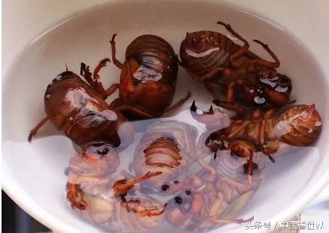 夏天能用什么药治皮肤病,夏天最管用的几种药