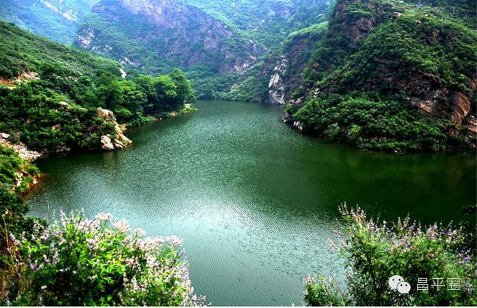 永定区冬桃新鲜采摘等你来,果园现摘冬桃脆甜