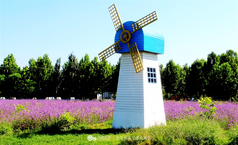 薰衣草庄园室内设计案例,薰衣草庄园的拍摄与着装搭配