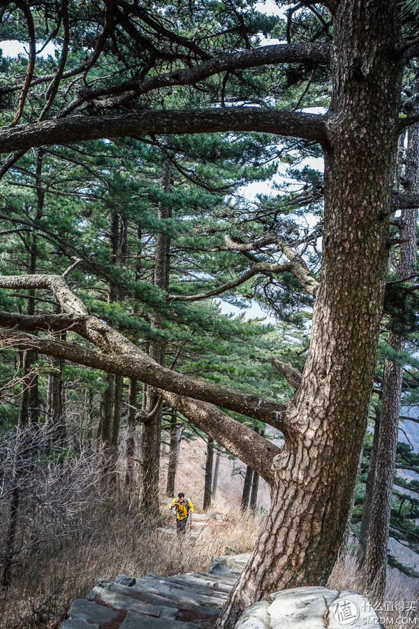 icebreaker滑雪服,icebreaker黑色保暖衣