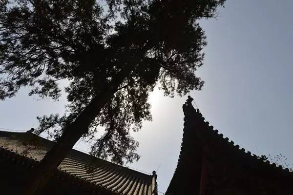 洛阳关林庙免费时间,洛阳关林庙灵验的地方