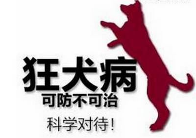 狗狗狂犬病疫情实时最新通报,狂犬病来袭请大家远离恶犬