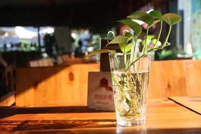 城墙边的慢生活,西安西北城墙美食攻略图