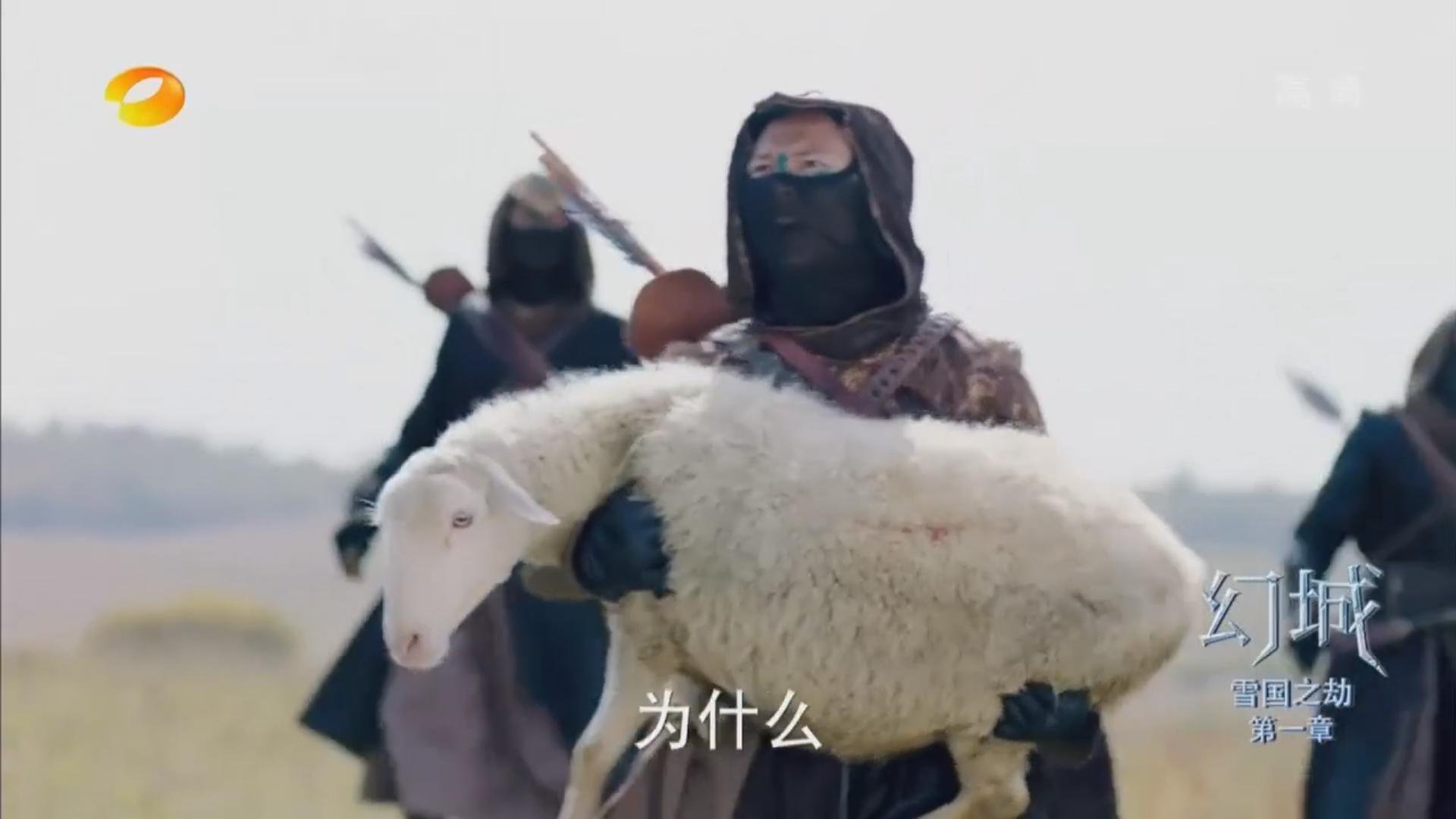 2集播放破5亿,两集播放量破亿