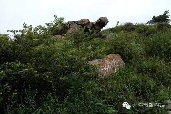 庄河黑岛好玩吗,庄河黑岛在什么位置