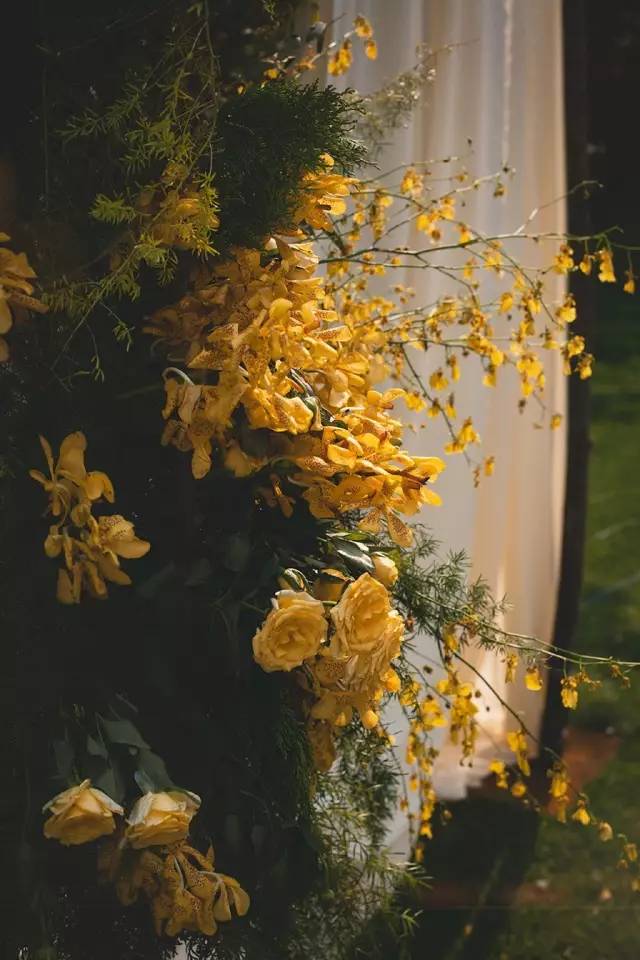 森系婚礼案例,独一无二的浪漫森系婚礼