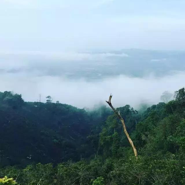 红军精神照我行——花甲老人100公里越野跑全记录