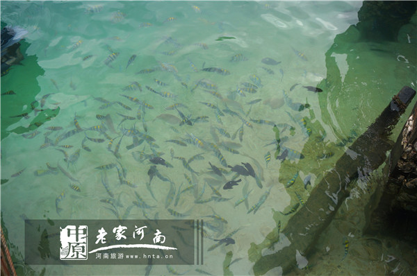 玩美假期马来西亚旅游,六日沙巴自由行攻略