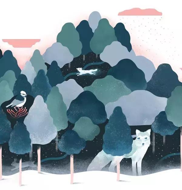 波尔图插画师作品,荷兰艺术家rajacenna一幅画多少钱