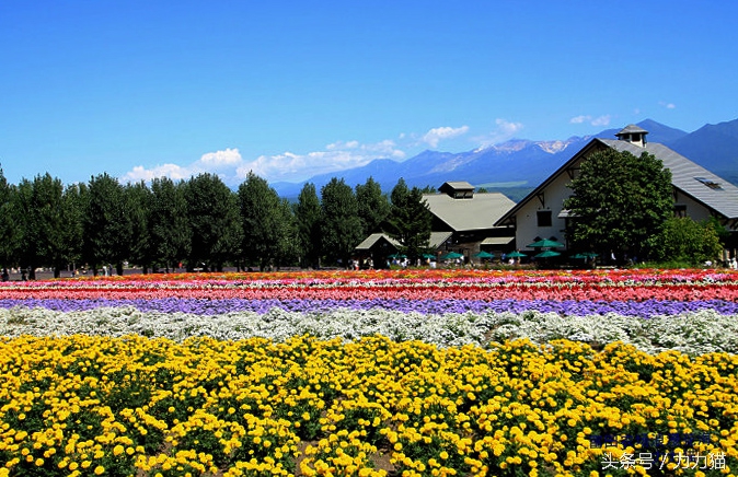 日本北海道最美丽的景点,北海道暑假旅游攻略大全