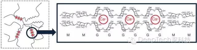 将iPhone拉伸5倍的全新科技，章鱼哥来帮你实现！