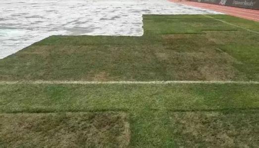 鸟巢曼市德比乐视,16年鸟巢曼市德比