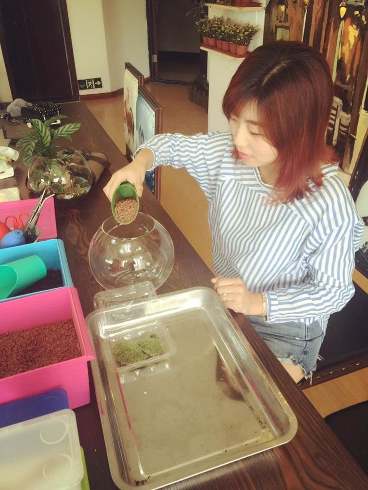 在青蓝树培养艺术“细菌”