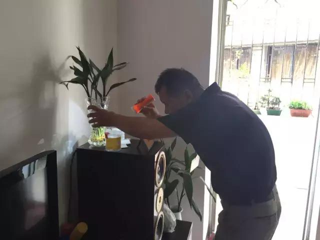 海珠防治白蚁,2014年海珠区登革热