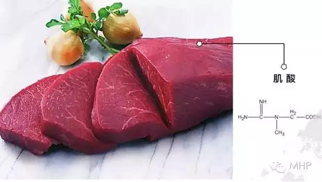 肌酸有没有必要吃,肌酸吃了打脸真的假的