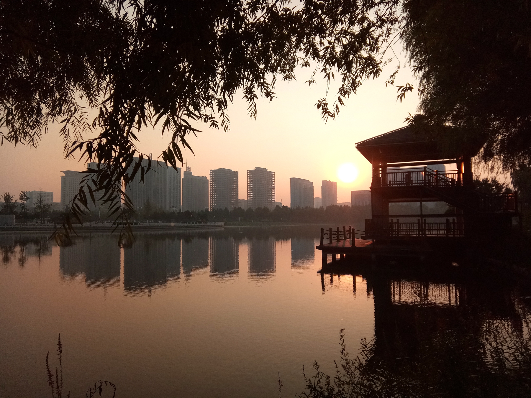 小品牌性价比电动车,酷比max5参数