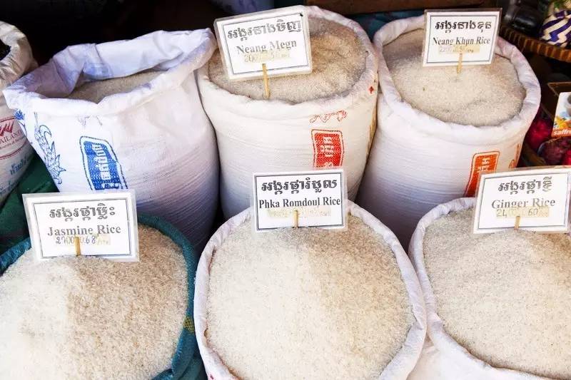 期待第17届东博会首批参展品已到,东博会国际展会