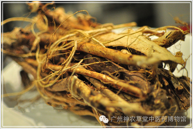 谷雨知时节补脾祛湿效果好吗,雨水时节祛湿健脾