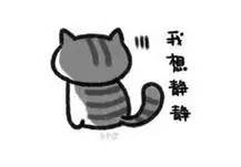 唐山：游泳池里忒乱，居然有浑水摸女孩儿胸的