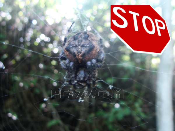 域名注销后多久可以再次备案,快速注销已过期域名备案