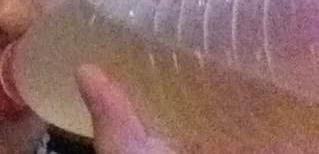 宋茜直播扛起大糖葫芦,宋茜第一次见面吃香菜