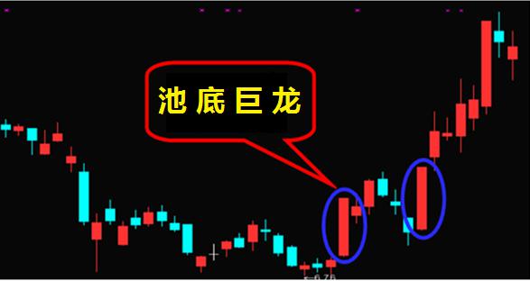 老股民揭露:中国股市令人吃惊的一招,再忙也要学下!