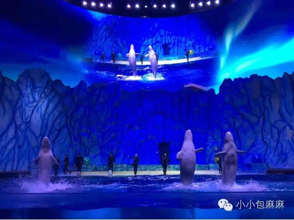 广州长隆动物园一日游攻略,长隆动物园和海洋公园哪个值得去