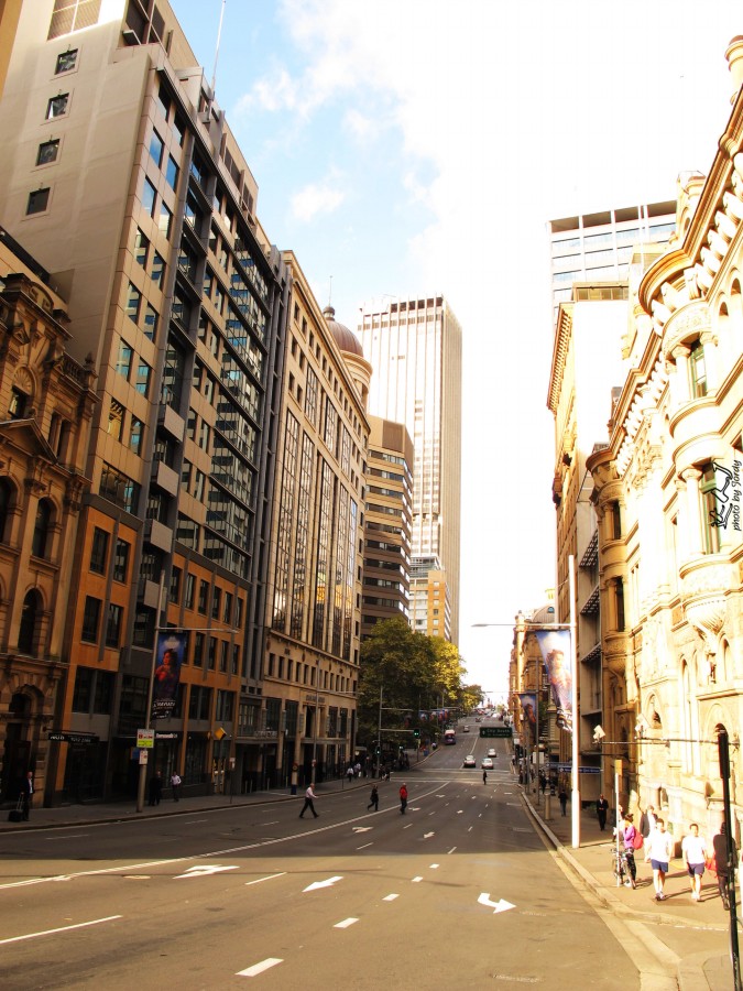 悉尼是啥味道,悉尼盐蚝