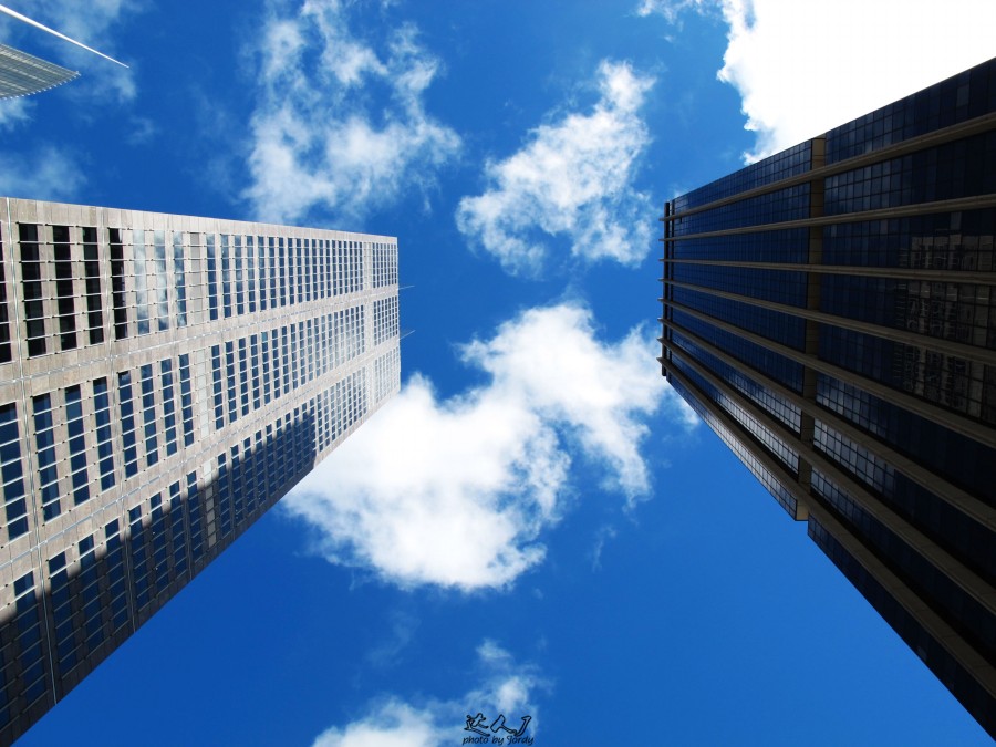 悉尼是啥味道,悉尼盐蚝