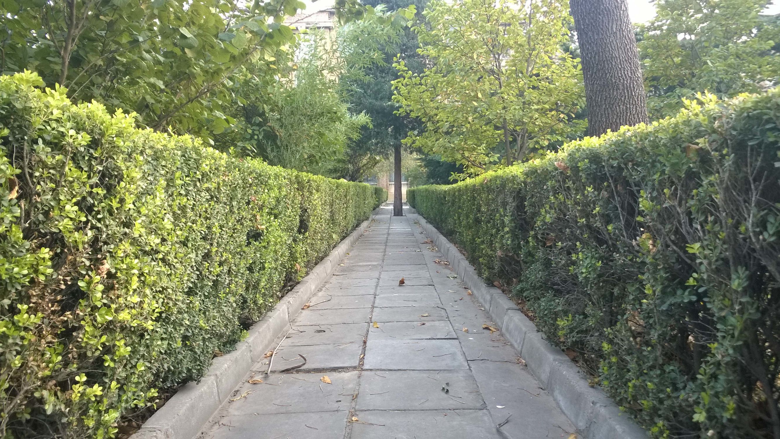 曾经的手机巨头诺基亚,体验经典之诺基亚lumia830