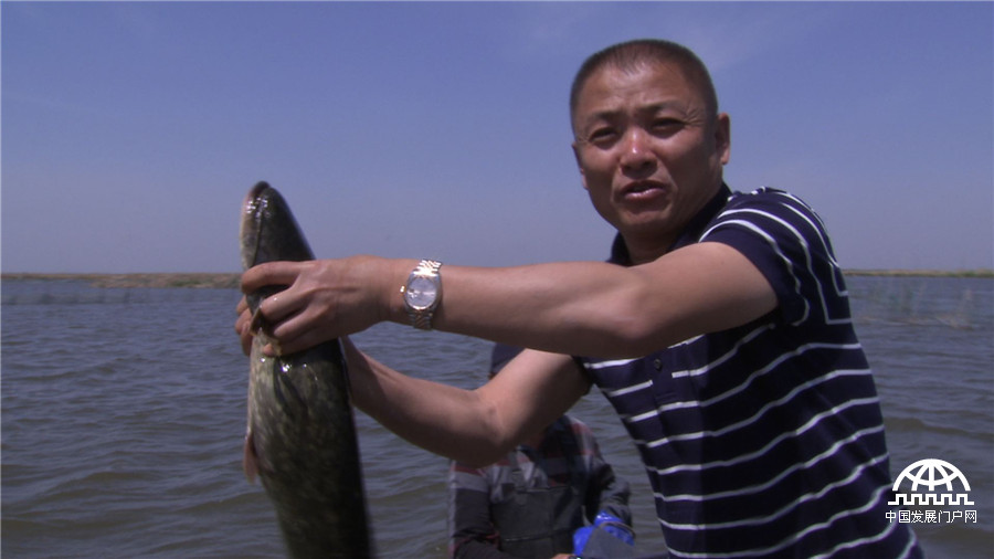 致富经养鱼一年多卖1000万,致富经一亩地赚过亿