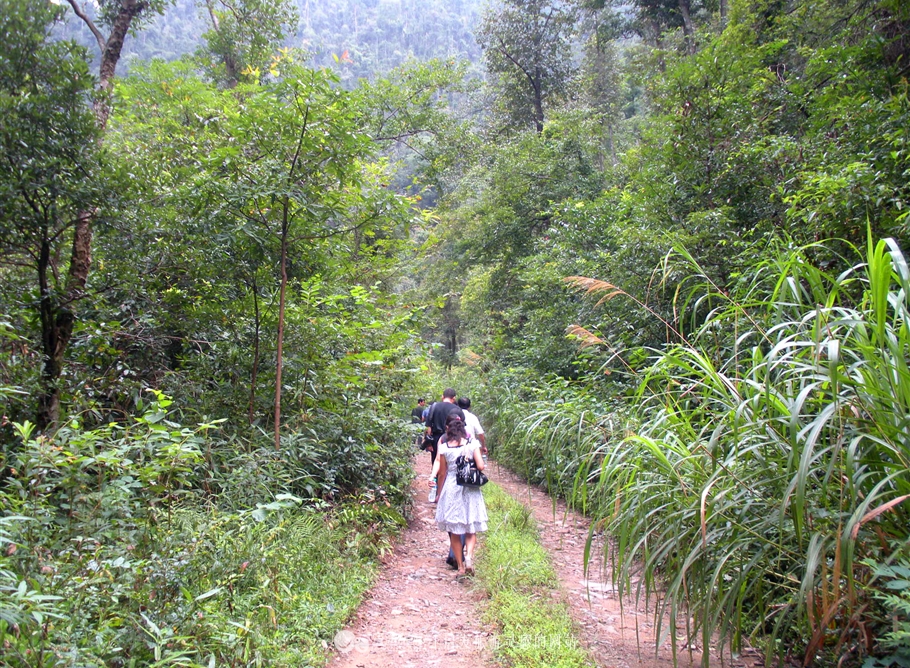 铜钹山风景区和九仙湖图片,铜钹山九仙湖可以钓鱼吗