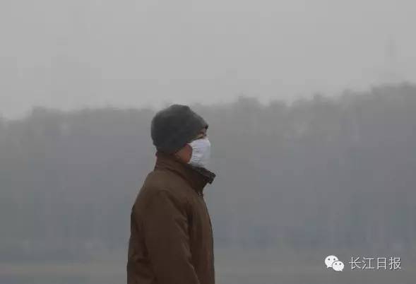 南宁车辆检测环保数据作假处罚,机动车环保检测违法案件