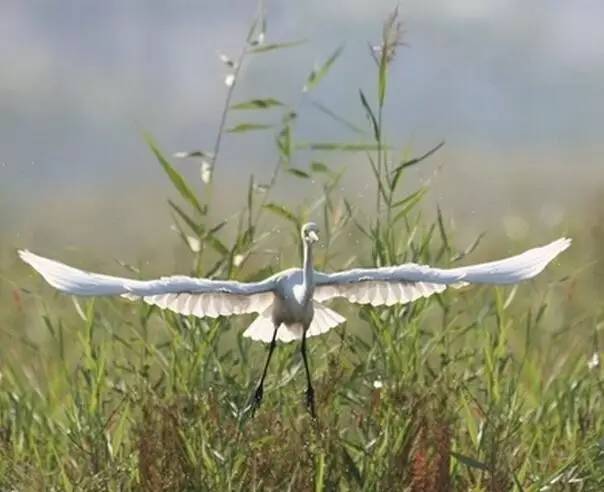 辽宁景点门票,辽宁省景点大全一览表