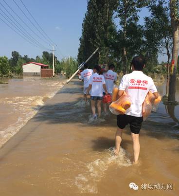 暴雨中抗洪救灾,自己受灾却坚持抗洪救灾感人视频