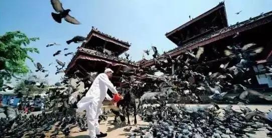 尼泊尔疗愈之旅,去尼泊尔来虔诚的朝圣之旅