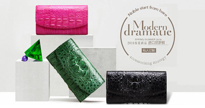 怪才小龙陈星,怪才小龙的歌