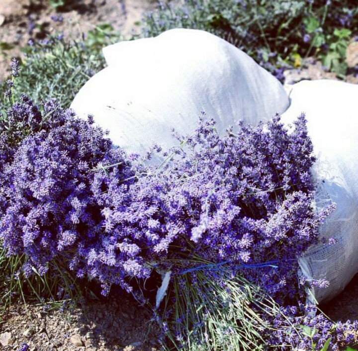 日韩化妆品都有哪些,日韩化妆品推荐