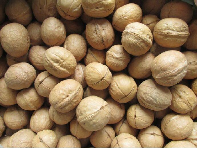 《线体》杂志列出10种健康食物