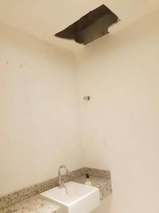 本届巴西奥组委:谁能帮我海淘只熊猫?