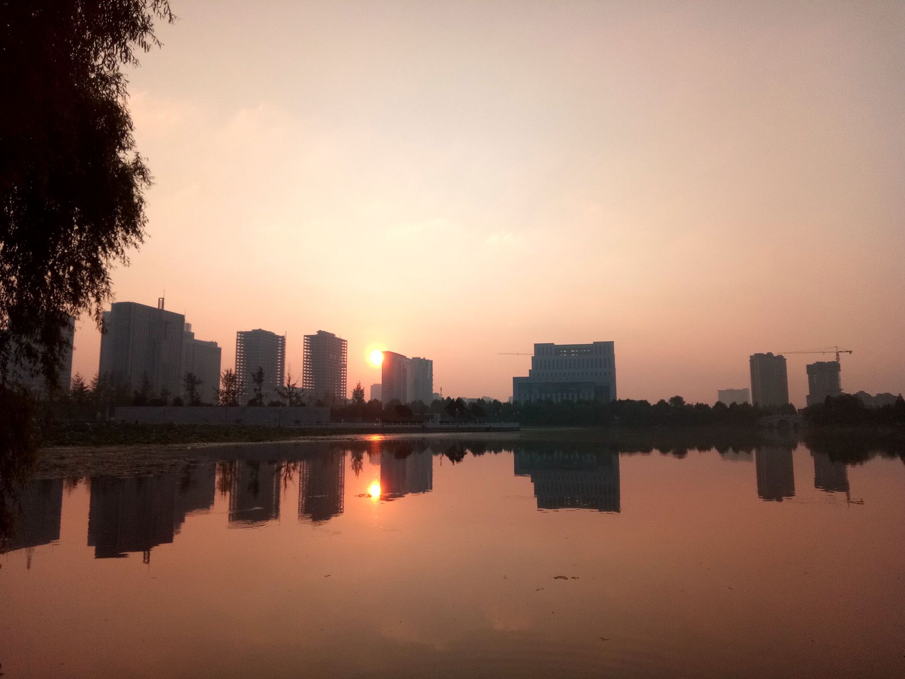 小品牌性价比电动车,酷比max5参数