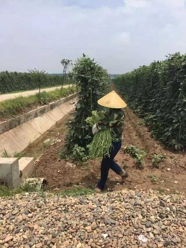 一个农村80后女孩的创业,80后农村女性创业故事