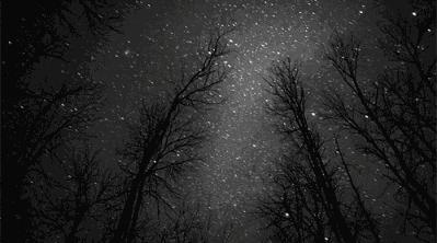 梦见别人被蜜蜂蛰是什么意思,梦见小强是什么预兆