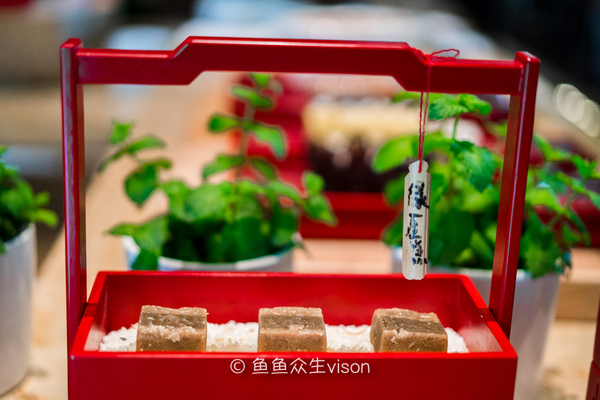 来到十三朝古都,来到十三朝古都西安