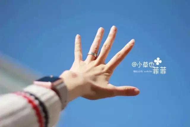 我们一起看花海歌曲,我们一起看星星看月亮