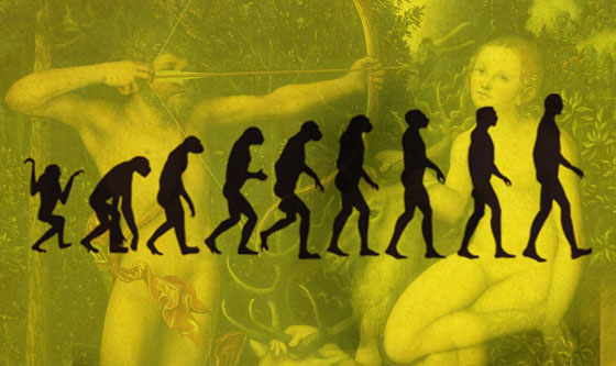 盘点那些女生双11购物的能力,双11购物启示