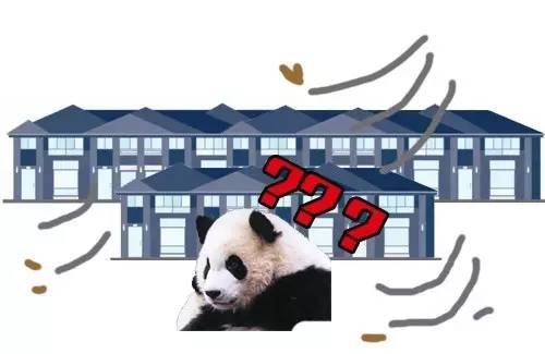 本届巴西奥组委:谁能帮我海淘只熊猫?