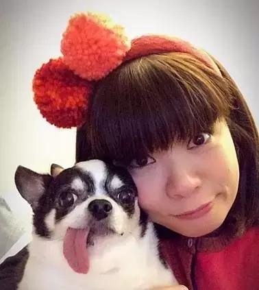 娱乐圈被说相声的占领了,娱乐圈陈老师